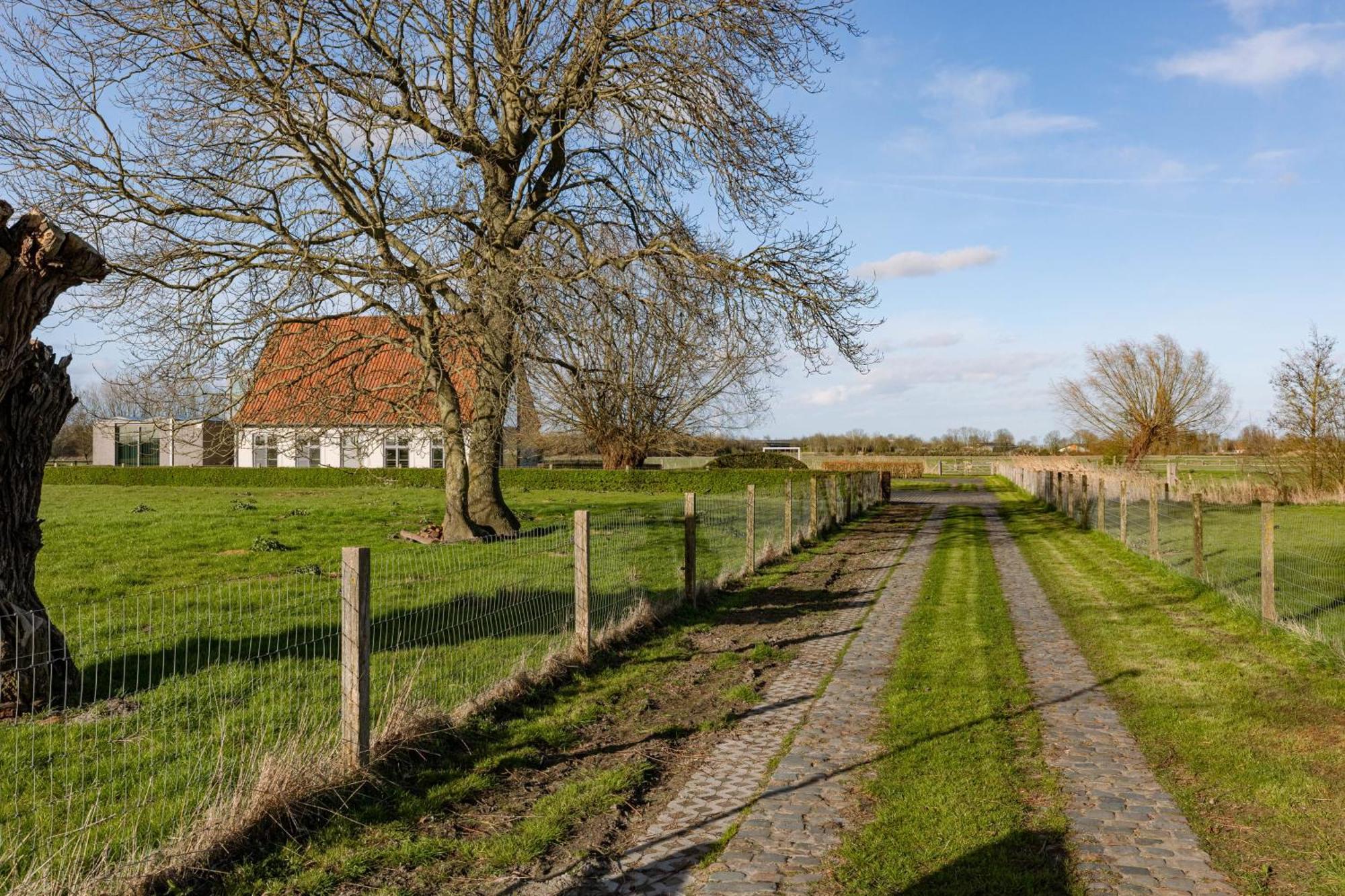 Huswell - Spacious Holiday Home For 12 Persons Veurne Eksteriør bilde